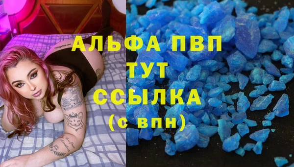 PSILOCYBIN Аркадак