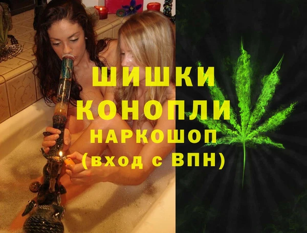 PSILOCYBIN Аркадак