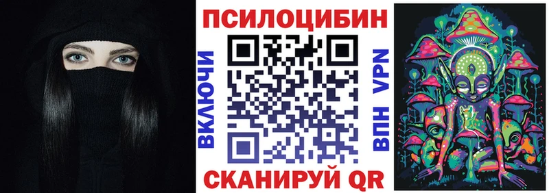 купить закладку  Кизел  Псилоцибиновые грибы Psilocybe 